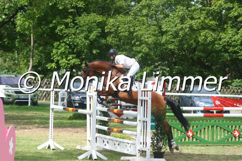 308M5226_Lichtstern_Springpferde Mx.JPG